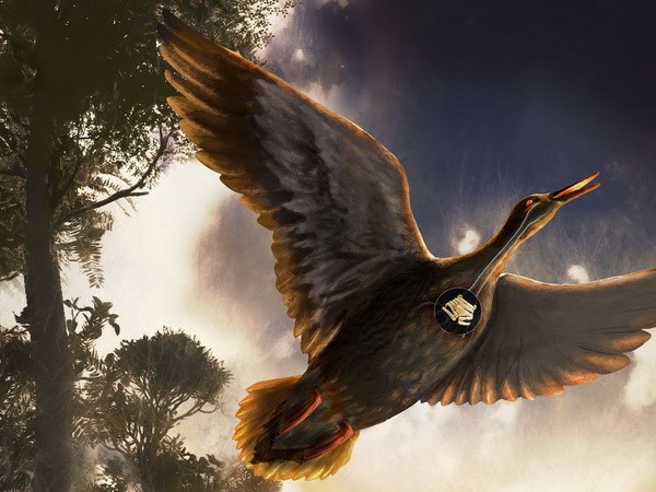 Lần đầu tiên phát hiện hóa thạch chim cổ thời Đại Trung sinh