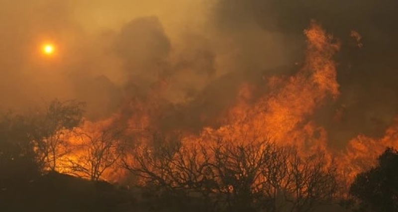 10 người thiệt mạng do cháy rừng tại bang California, Mỹ
