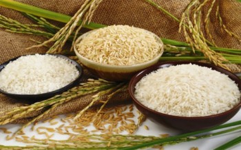 Xuất khẩu gạo tăng mạnh chủ yếu nhờ Trung Quốc