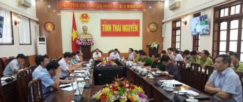 Thủ tướng Chính phủ Nguyễn Xuân Phúc chủ trì hội nghị trực tuyến về quản lý và bảo vệ rừng