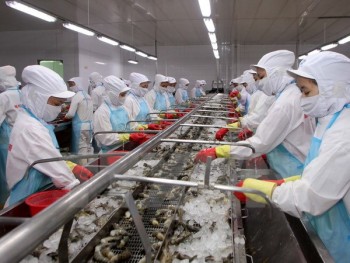 Hải sản Việt tìm cách khắc phục ''thẻ vàng'' ở thị trường EU