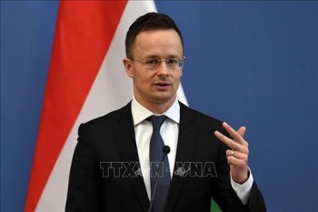 Hungary trục xuất lãnh sự Ukraine, căng thẳng ngoại giao leo thang