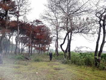 Cấp đất rừng lấn chiếm ở Gia Lai, nữ cán bộ đất đai bị khởi tố