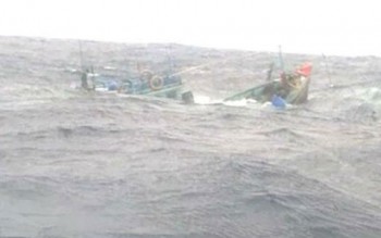 3 ngư dân trong một gia đình mất tích thoát chết tự bơi vào bờ