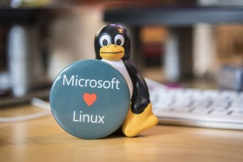 Microsoft bất ngờ thay đổi chính sách từ đối đầu sang ủng hộ Linux