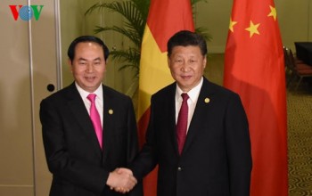 Chủ tịch nước Trần Đại Quang gặp rộng rãi các lãnh đạo APEC
