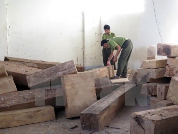 Kon Tum thu giữ 77 hộp gỗ dổi không chứng minh được nguồn gốc