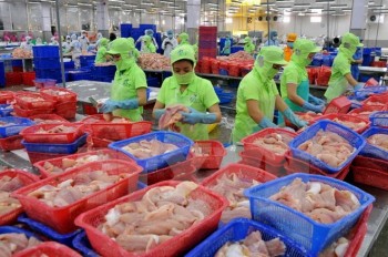 Doanh nghiệp Việt chưa tận dụng hết cơ hội xuất khẩu trong EVFTA