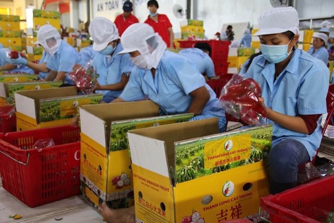 Ký EVFTA, nông sản Việt Nam cần kiểm soát chặt chẽ về chất lượng