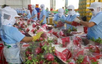 Nông sản Việt có nhiều cơ hội xuất khẩu vào thị trường Australia