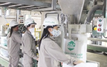 Lào Cai thu hồi 50.000m2 đất của Công ty Cổ phần DAP