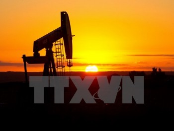 Giá dầu mỏ trên thế giới đồng loạt tăng lên mức cao nhất