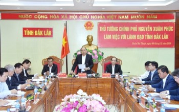 Thủ tướng lưu ý Đắk Lắk về phát triển rừng và công nghiệp chế biến gỗ