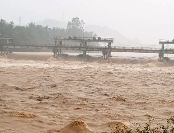 Nước lũ dâng cao ở Bình Định, hàng trăm hộ dân phải sơ tán