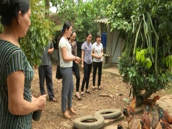 Thị xã Phổ Yên: Đẩy mạnh công tác bình đẳng giới