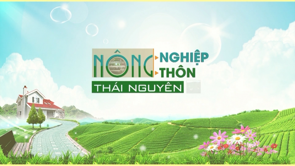 Chuyên mục Nông nghiệp nông thôn ngày 2/11/2022