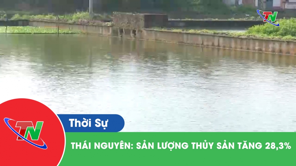 Thái Nguyên: Sản lượng thủy sản tăng 28,3%