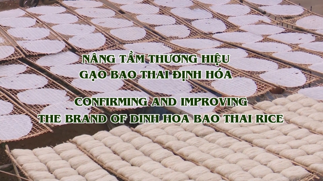 Nâng tầm thương hiệu gạo Bao Thai Định Hóa