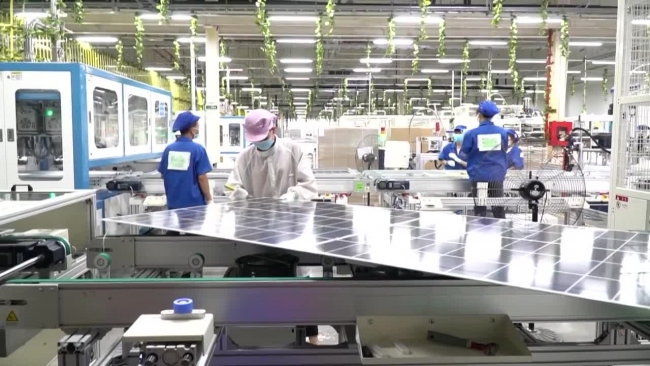 Leaders of thai nguyen province work with the delegation of trinar solar group