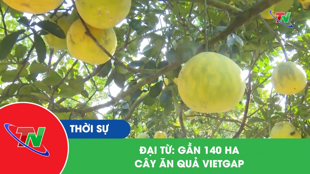 Đại Từ: gần 140 Ha cây ăn quả Vietgap