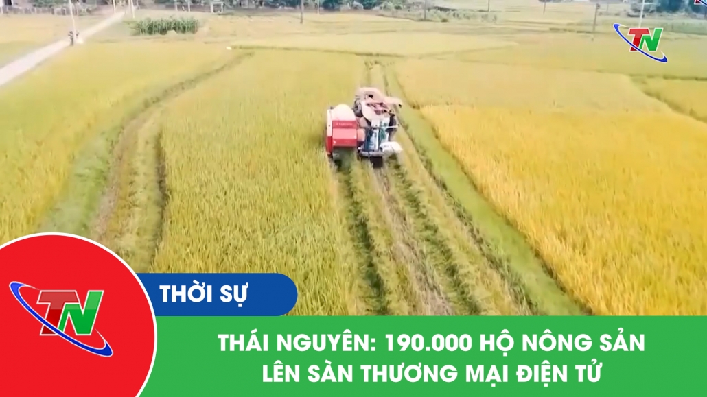 Thái Nguyên: 190.000 hộ nông sản lên sàn thương mại điện tử