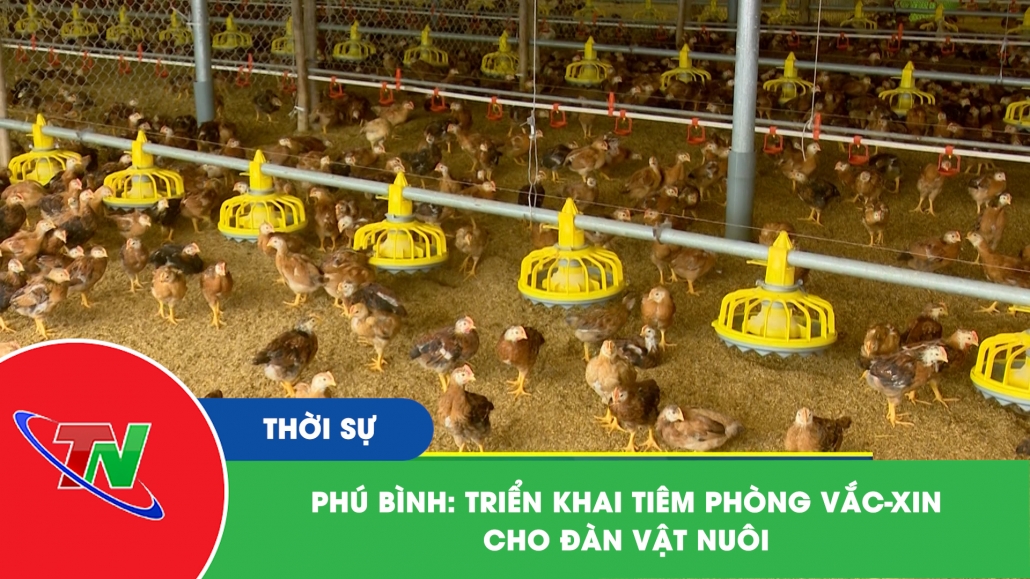 Phú Bình: Triển khai tiêm phòng vắc-xin cho đàn vật nuôi