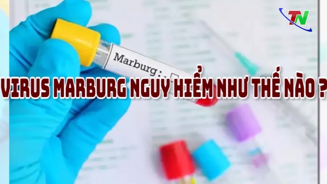Virus Marburg nguy hiểm như thế nào ?