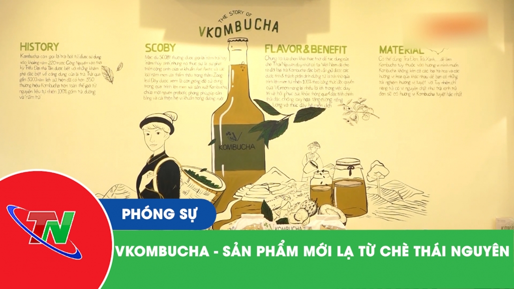 Vkombucha - Sản phẩm mới lạ từ chè Thái Nguyên