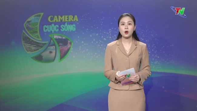 Bản tin Camera cuộc sống ngày 13/05/2023