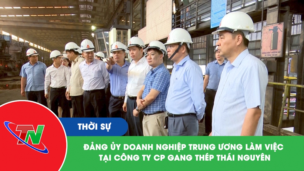 Đảng ủy doanh nghiệp Trung ương làm việc tại công ty CP Gang thép Thái Nguyên