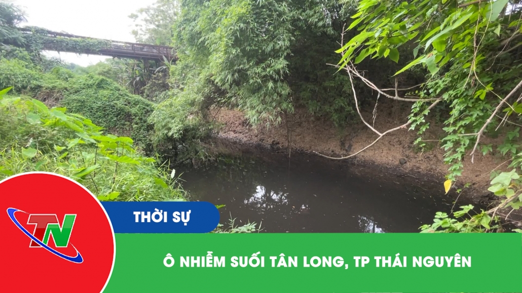 Ô nhiễm suối Tân Long, thành phố Thái Nguyên