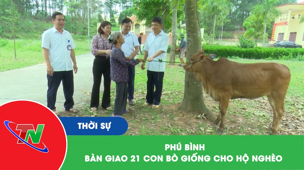 Phú Bình: Bàn giao 21 con bò giống cho hộ nghèo