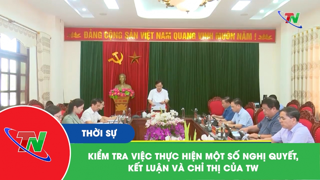 Kiểm tra việc thực hiện một số Nghị quyết, kết luận và Chỉ thị của TW
