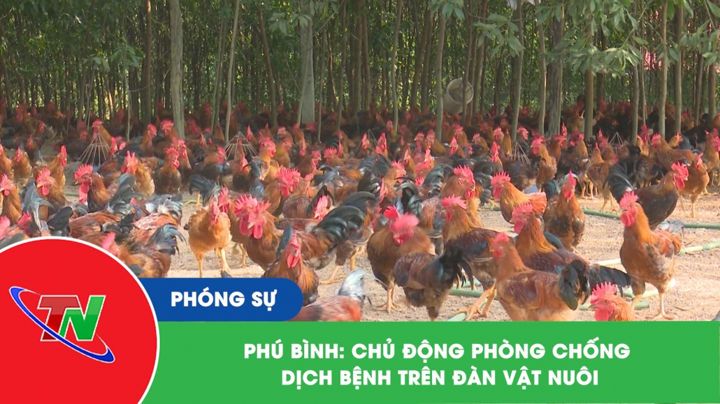 Phú Bình: Chủ động phòng chống dịch bệnh trên đàn vật nuôi