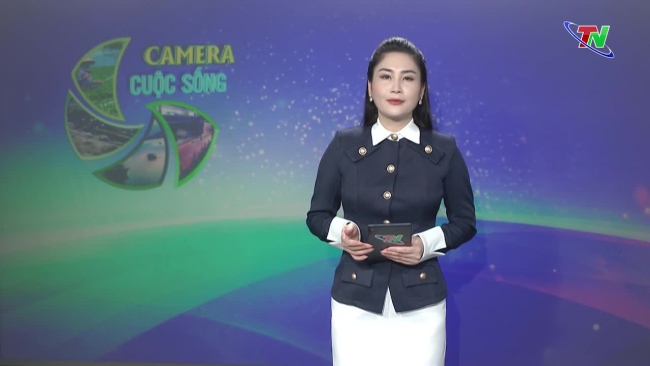 Bản tin Camera cuộc sống ngày 22/11/2023