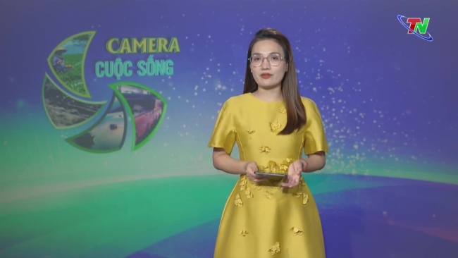 Bản tin Camera cuộc sống ngày 24/11/2023