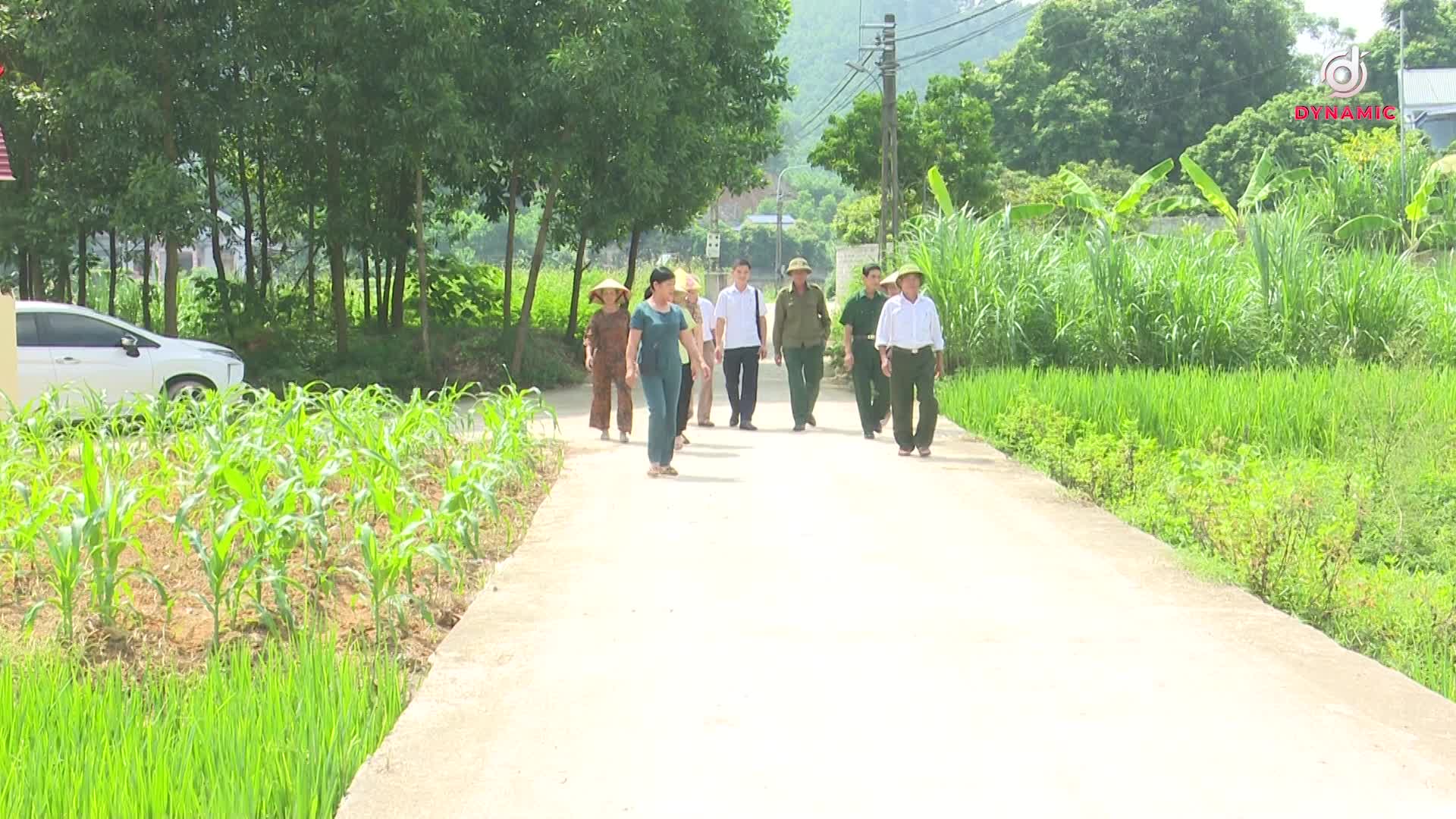 Dong Hy: Efforts to finish building new rural areas