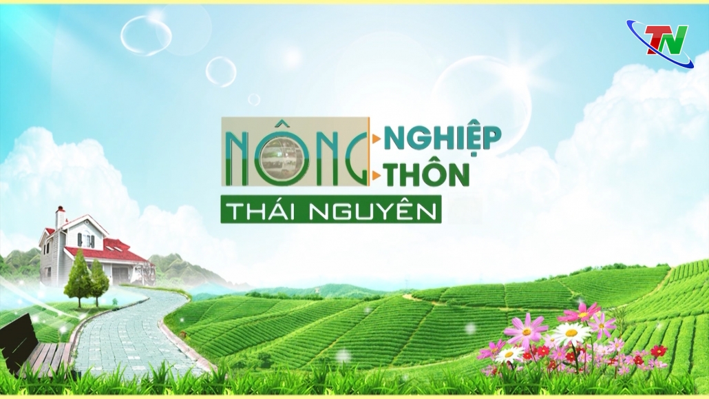 Chuyên mục Nông nghiệp nông thôn ngày 07/02/2024