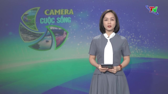 Bản tin Camera cuộc sống ngày 12/02/2024