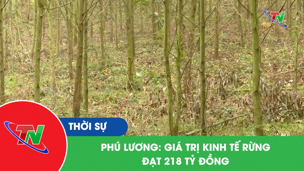 Phú Lương: giá trị kinh tế rừng đạt 218 tỷ đồng
