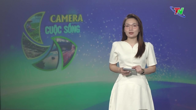 Bản tin Camera cuộc sống ngày 20/02/2024