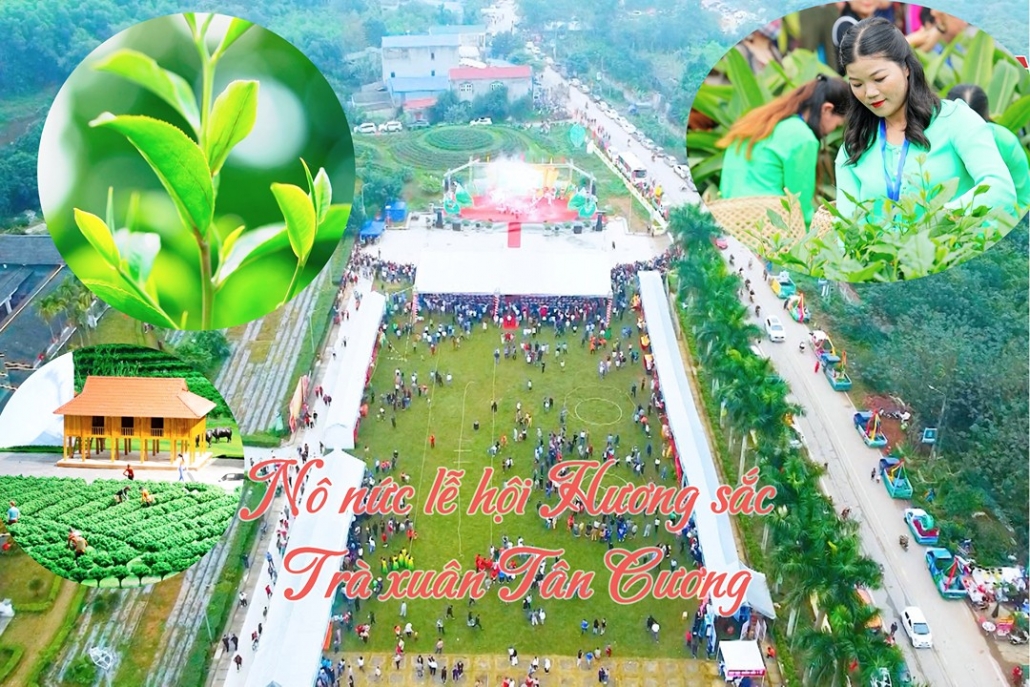 Cửa sổ Thái Nguyên: Nô nức lễ hội Hương sắc Trà xuân Tân Cương