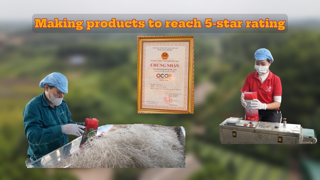 Thai Nguyen News: Making products to reach 5-star rating