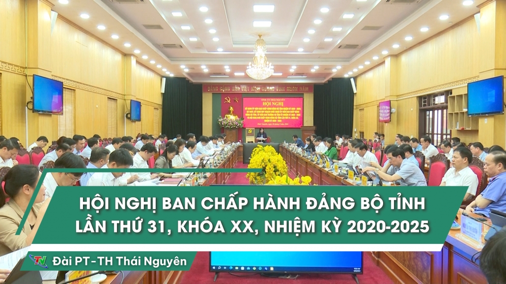 Hội nghị Ban chấp hành Đảng bộ tỉnh lần thứ 31, khóa XX, nhiệm kỳ 2020-2025