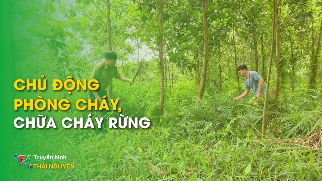 Chủ động phòng cháy, chữa cháy rừng