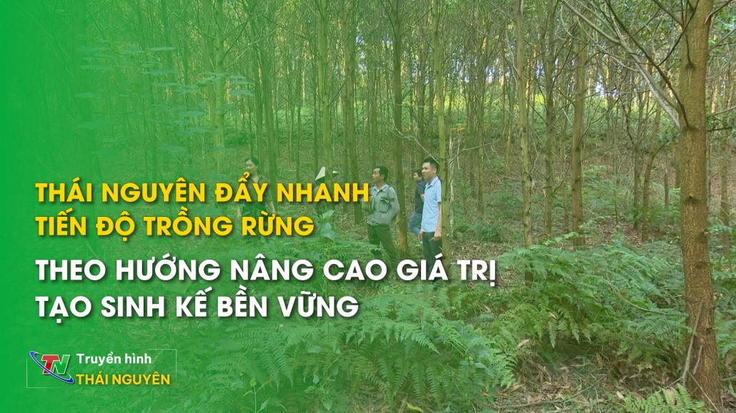 Thái Nguyên: Đẩy nhanh tiến độ trồng rừng theo hướng nâng cao giá trị tạo sinh kế bền vững