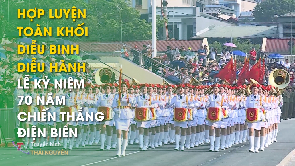 Hợp luyện toàn khối diễu binh, diễu hành lễ kỷ niệm 70 năm chiến thắng Điện Biên