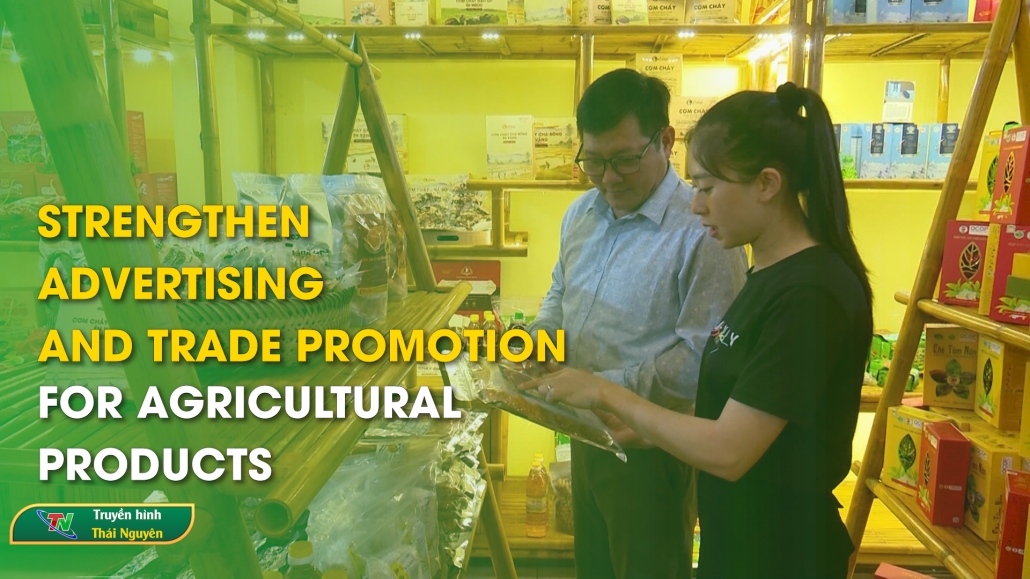 Strengthen advertising and trade promotion for agricultural products – Thai Nguyen News 23/5/2024