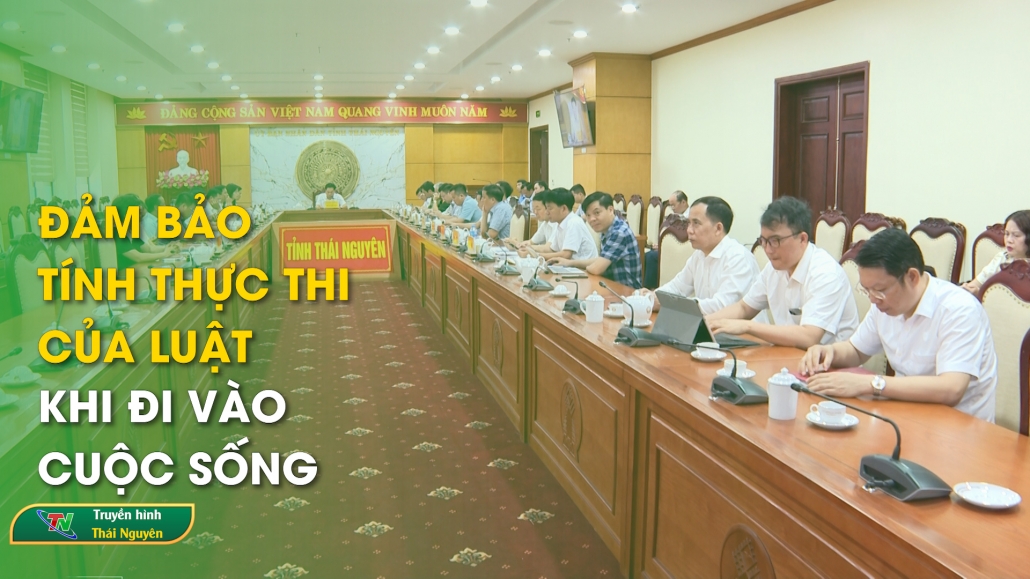 Đảm bảo tính thực thi của Luật khi đi vào cuộc sống