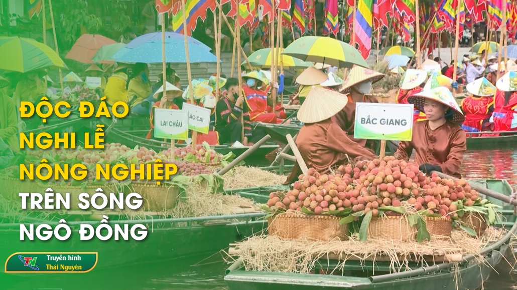 Độc đáo nghi lễ nông nghiệp trên sông Ngô Đồng | Bản tin Trong nước quốc tế ngày 5/6/2024